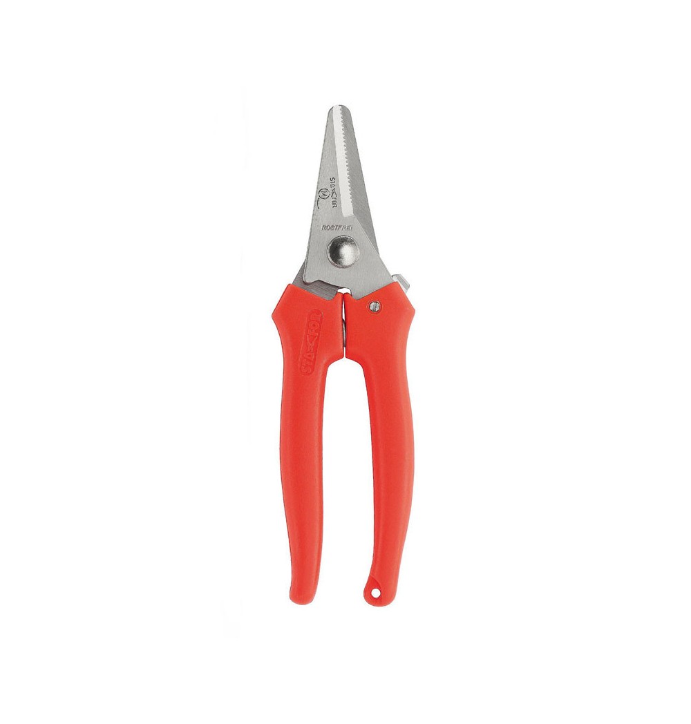 secateur epinette