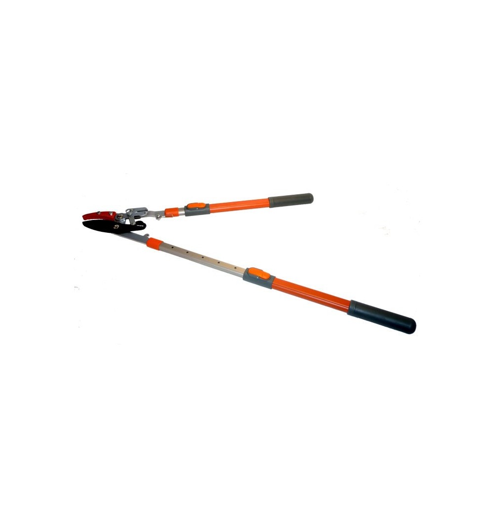 Cisaille puma Accueil Greensquare