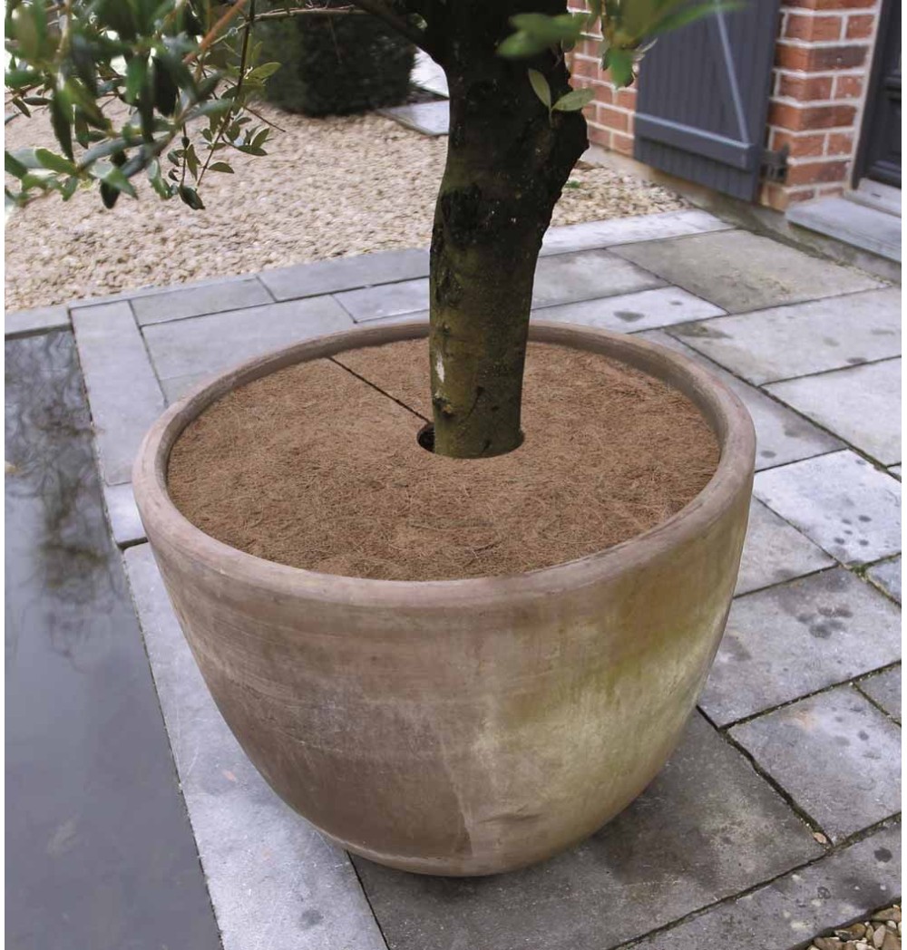 Disques de paillage naturel 40 cm (lot de 3)