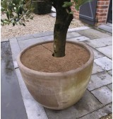 Disques de paillage naturel 60 cm (lot de 3)