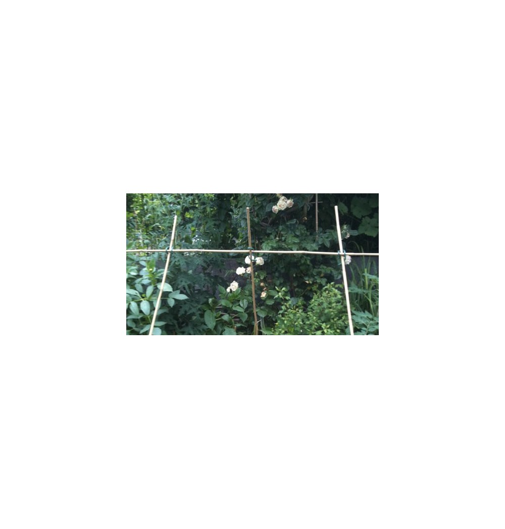 garden clip
