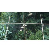 garden clip