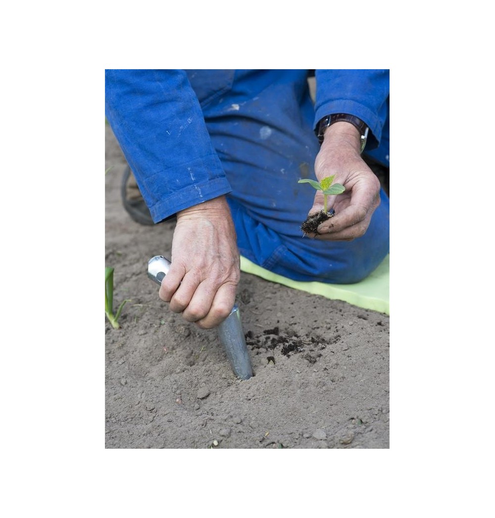 Plantoir basic