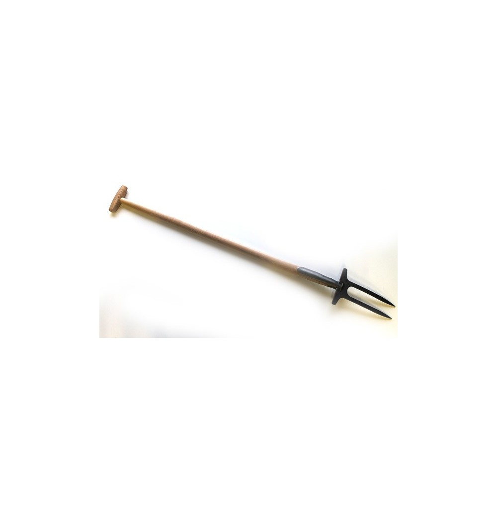 Fourche bidents