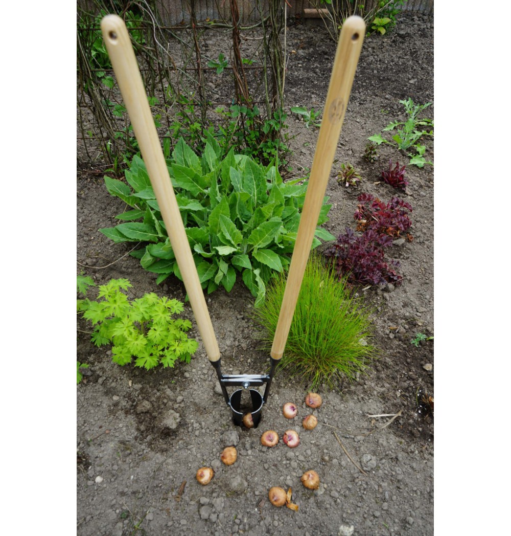 Plantoir à bulbes