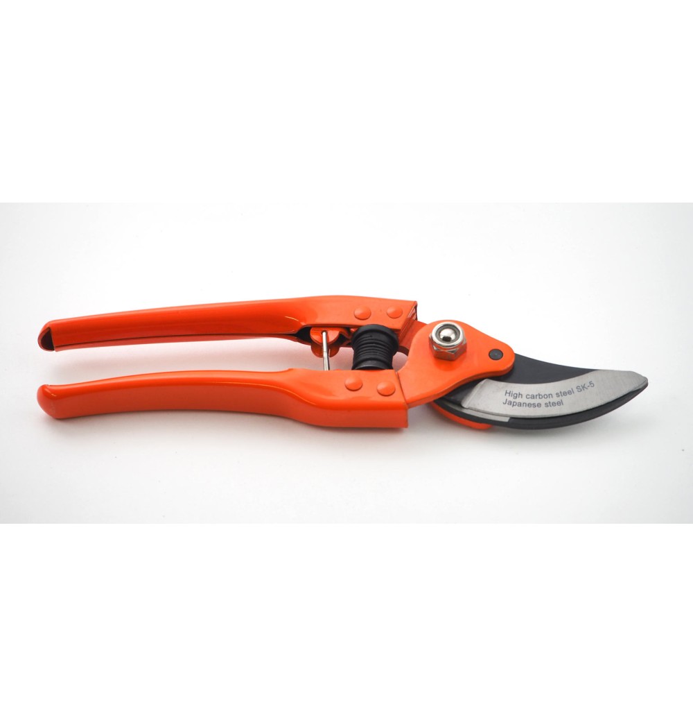Secateur Vigne classique